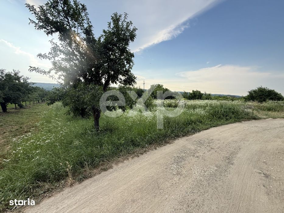 Teren de vanzare in Topoloveni | Zona linistita, aproape de oras