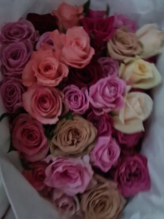 Розы ОПТОМ в пачках