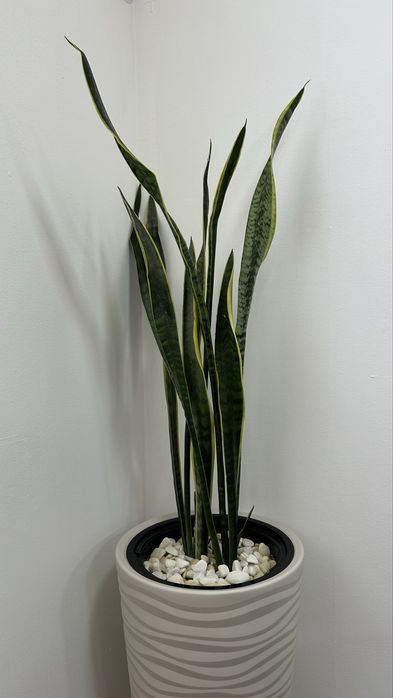 Продам зеркало, корзину, урну, цветы