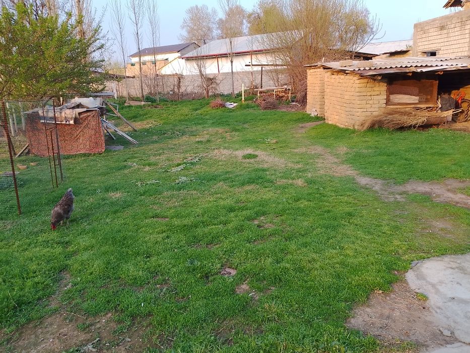 Yer sotiladi 5 sotik