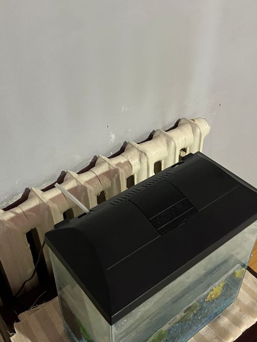 Аквриум сатылады Жаңа