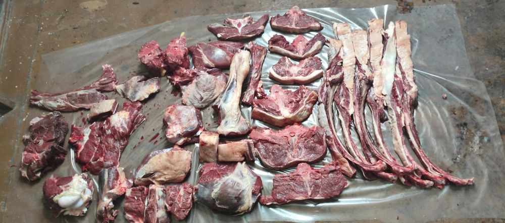 Мясо конина сирак