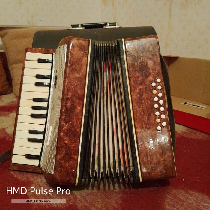 Детски Руски акордеон с куфар
100 лв/51.15 евро