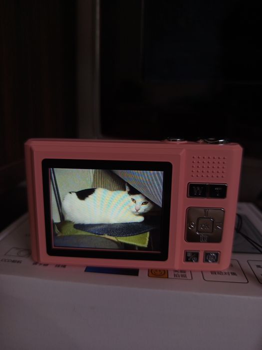 Vand camera digitala roz