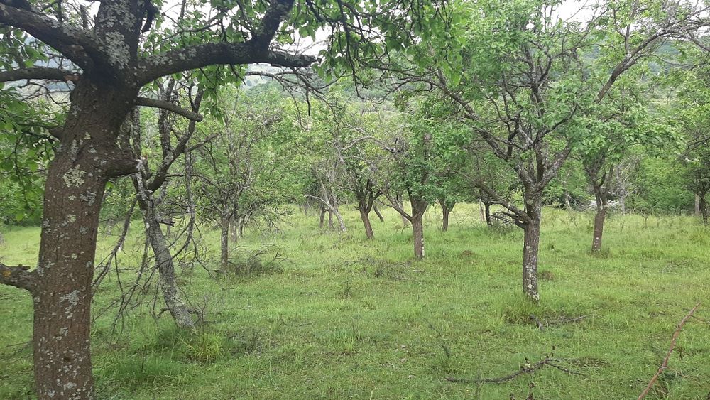 Teren de vânzare .SCHIMB .