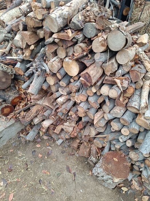 o'tin mevali   toshkent dastafka