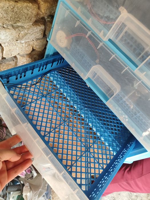 Инкубатор за яйца ELLZONE 250 бр яйца