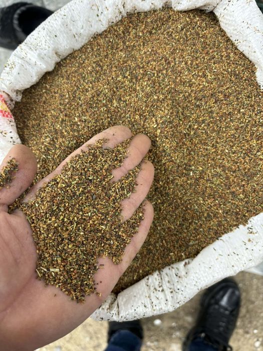 Vând sămânță de lucernă calitate a 2