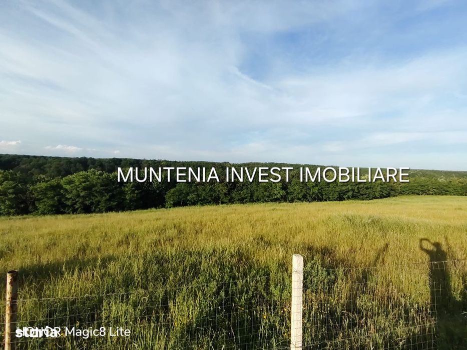 De vanzare 40.800 mp. teren, Calinesti