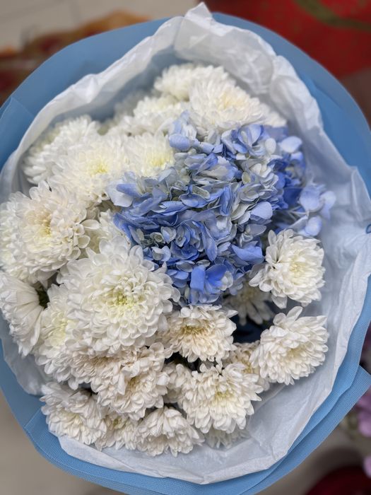 Продается цветы сегодние