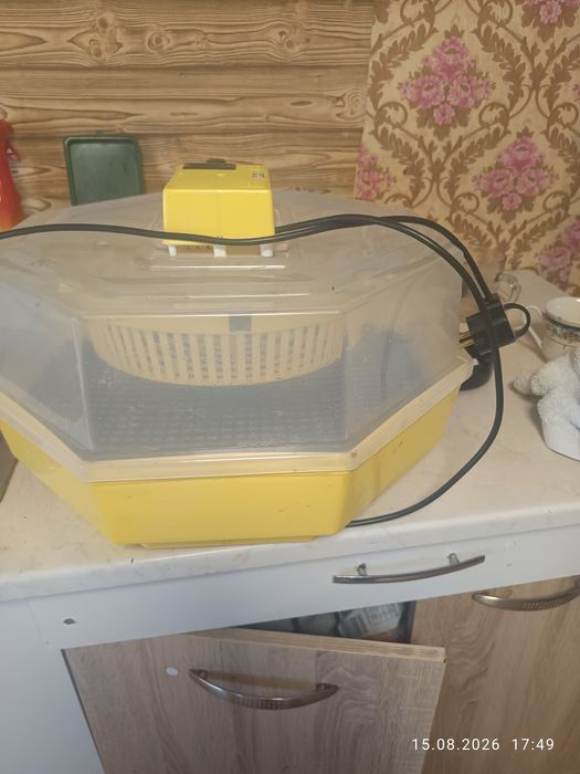 Vând 4 ecubatore