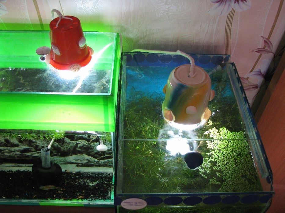 Освещение в аквариум