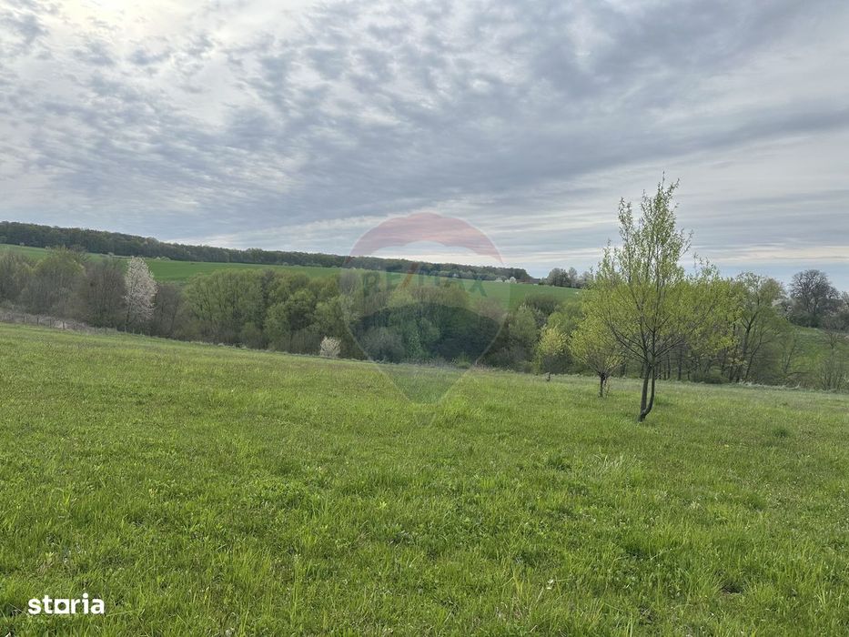 Teren 3,000mp Oslobeni / Strada Oslobeni punct GRADINA