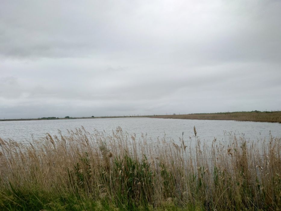 Vând baltă agrement