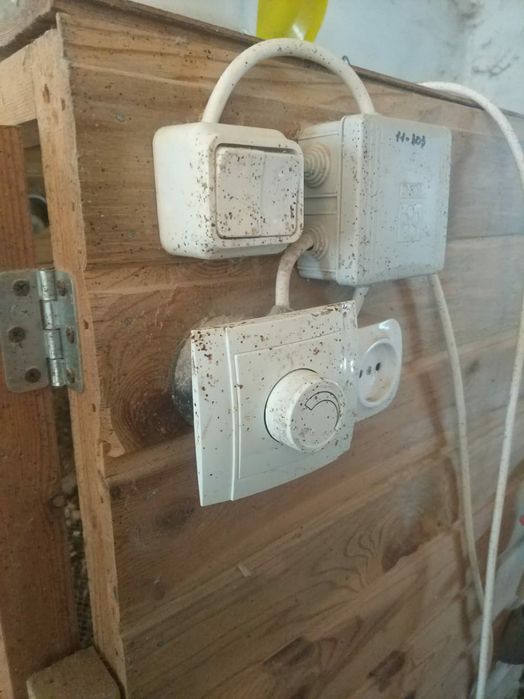 Брудер для цыплят