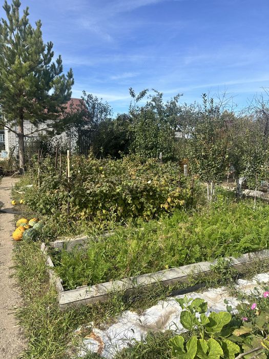 Продам дачу, в стороне саздинского водохранилища