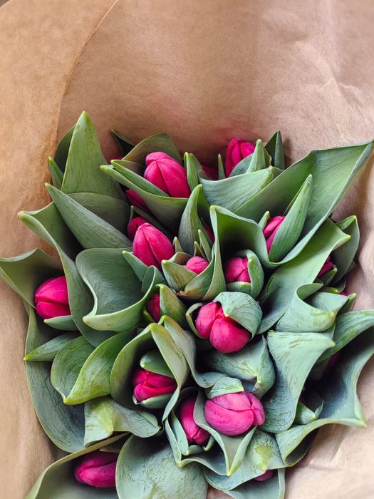 Тюльпаны оптом на 8марта