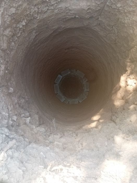 O‘rani zo‘ri Bomba Anakondalarini qilib beramiz