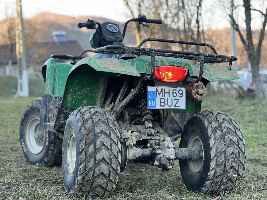 Atv Phioneer 300