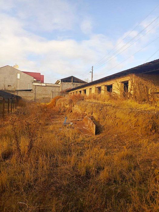 Яангйол тумани Тинчли махаласида 13 сотихли ховли сотилади