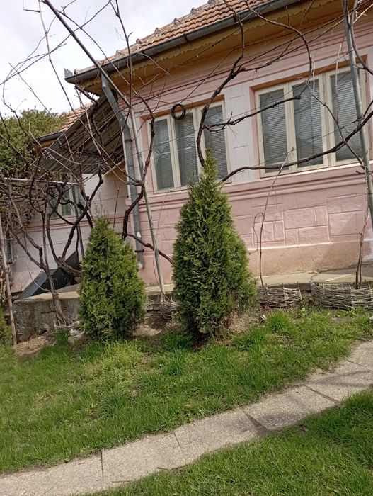 Vând casă cu 2 corpuri, 4.000 m.p. cu livada și vie