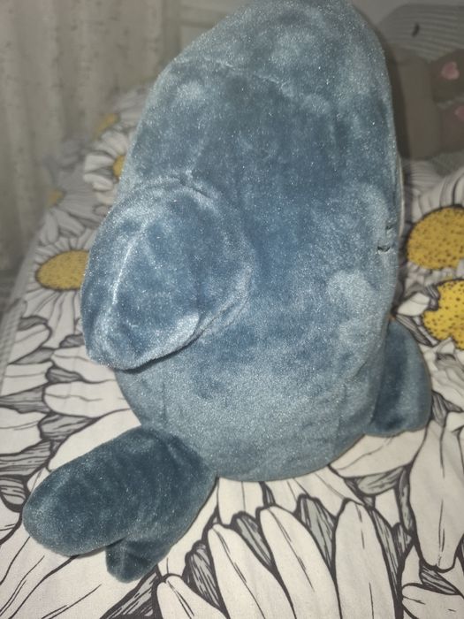 Мягкая игрушка кот-акула