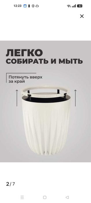 Комнатные цветы оформление пространства