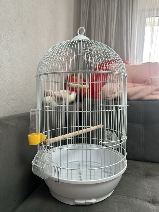 Клетка для попугая (не маленькая)