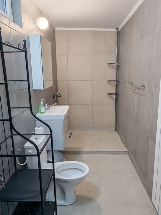 Apartament 1 cameră la curte 70 mp cu terasă și balcon propietar
