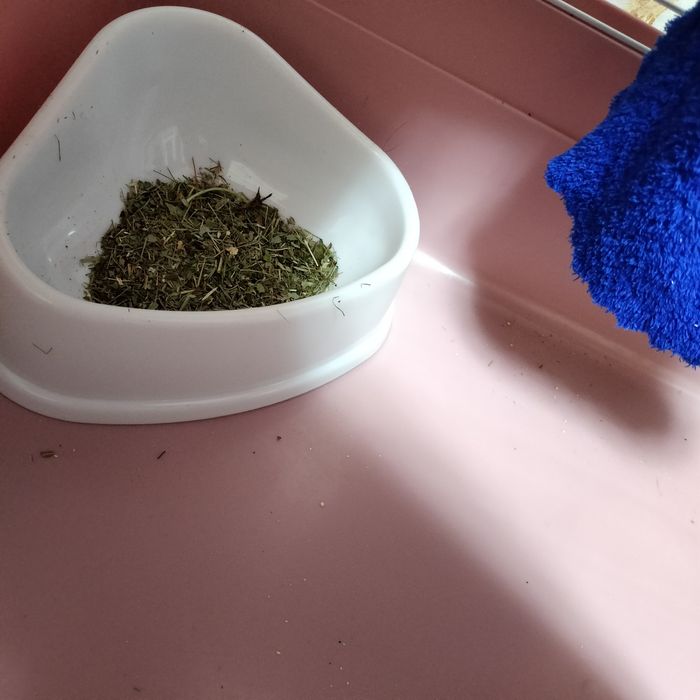 Продам клетку для кролика