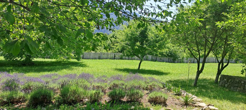 Casa individuala linga padure,liniste , intimitate,piscina, gradina, la 15 minute de Mall Piatra Neamt
