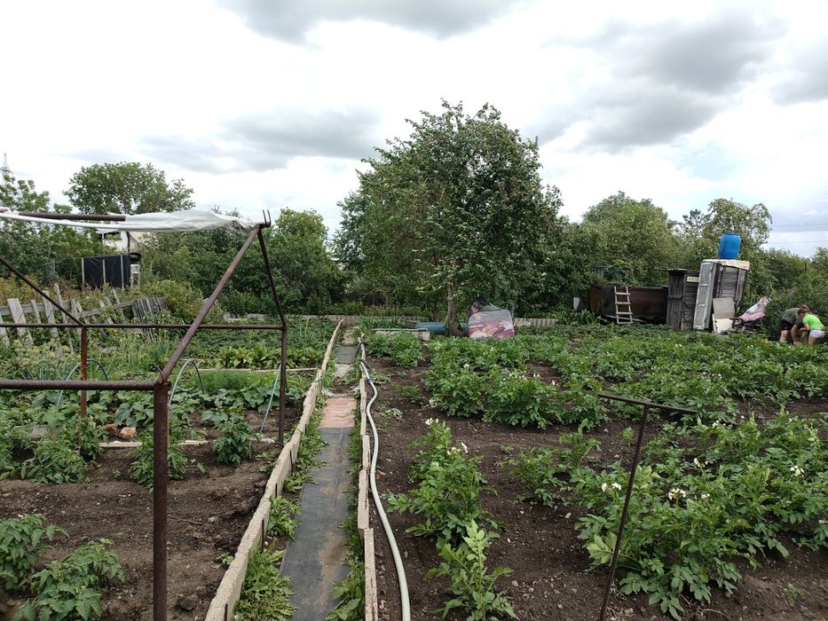 Продам дачу оптимист