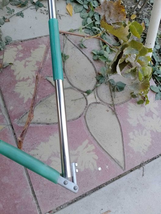 Ландшафт ишлари ва бутали гулзорлар учун секатор.