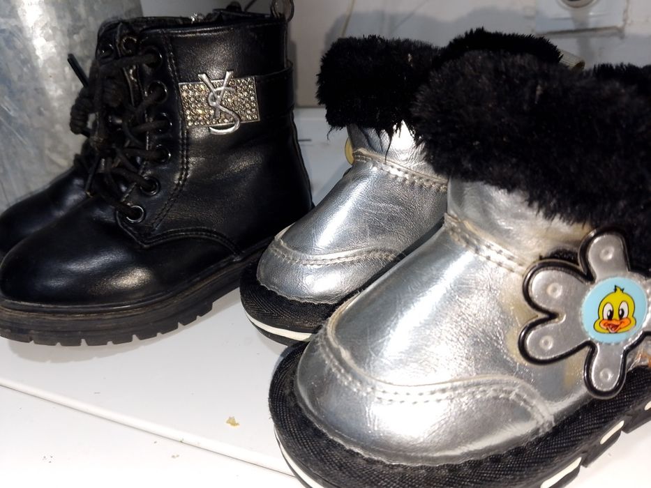 койлек вечерни нови