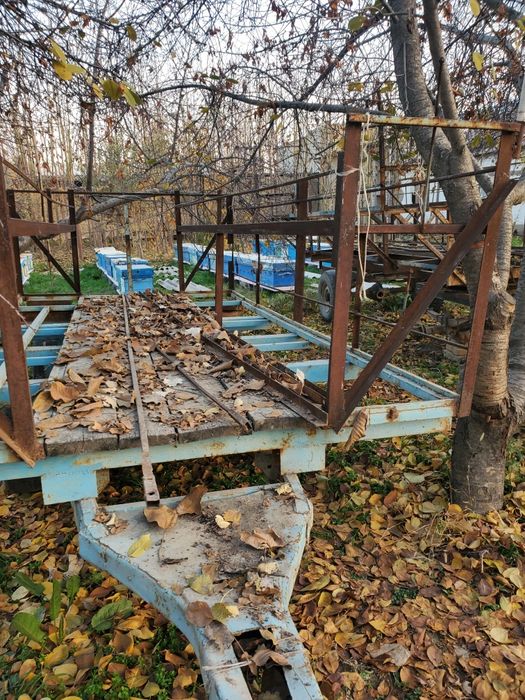 Asalari prisepi sotiladi