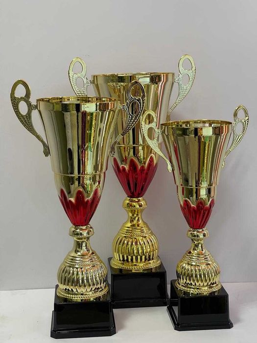 Кубки спортивные