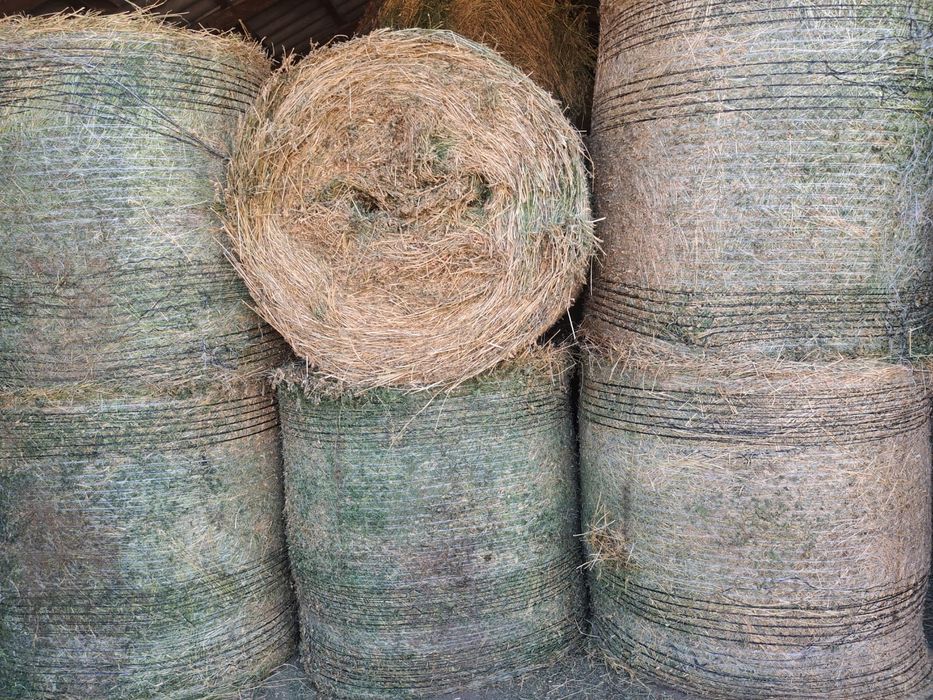 Baloti lucerna / Baloti 1,2 m/Baloti rotunzi lucerna coasa 4/Baloti