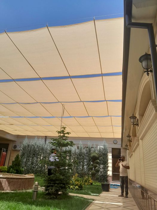 Сояа сетка гаряанта