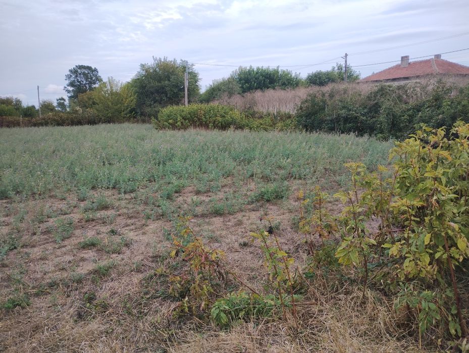 Продава се Парцел в с. Гроздьово, Област Варна - 2322 кв.м за 6 €/кв.м - Снимка #1