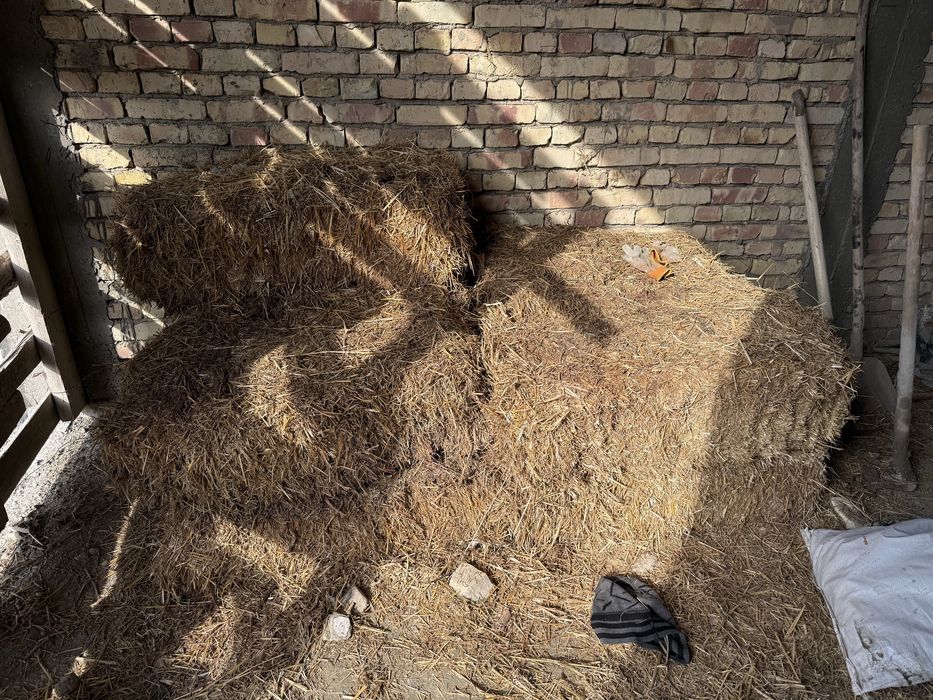 Лой сомон сотилади