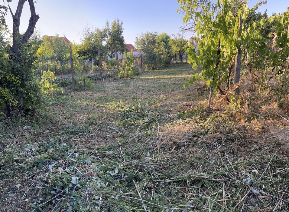 Casă de vânzare în orașul Salonta