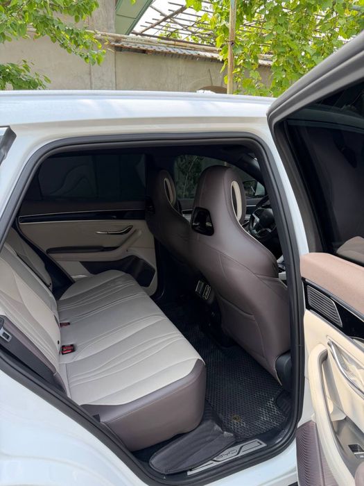 BYD Song Plus EV Champion 2024 — 6