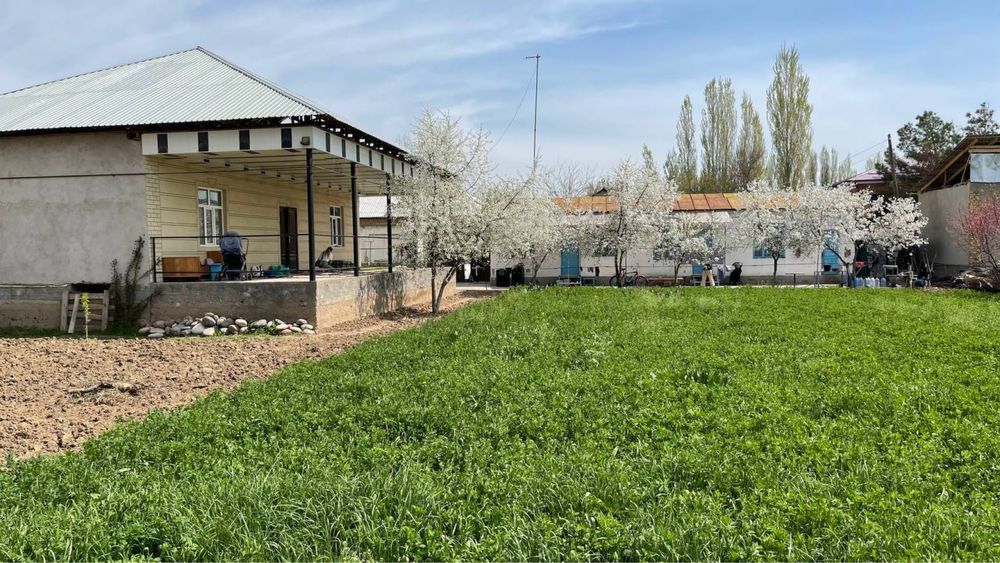 Hovli sotiladi Yuqori chirchiq yangibozor oq ovul maxallasi