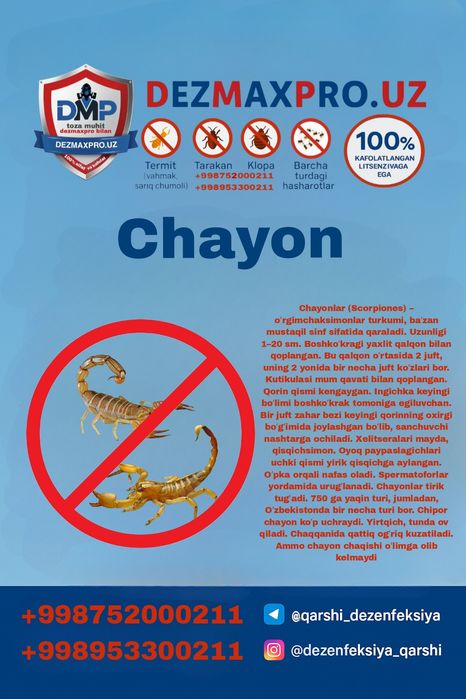 DEZMAXPRO.UZ – Қашқадарёдаги профессионал дезинфекция хизмати!