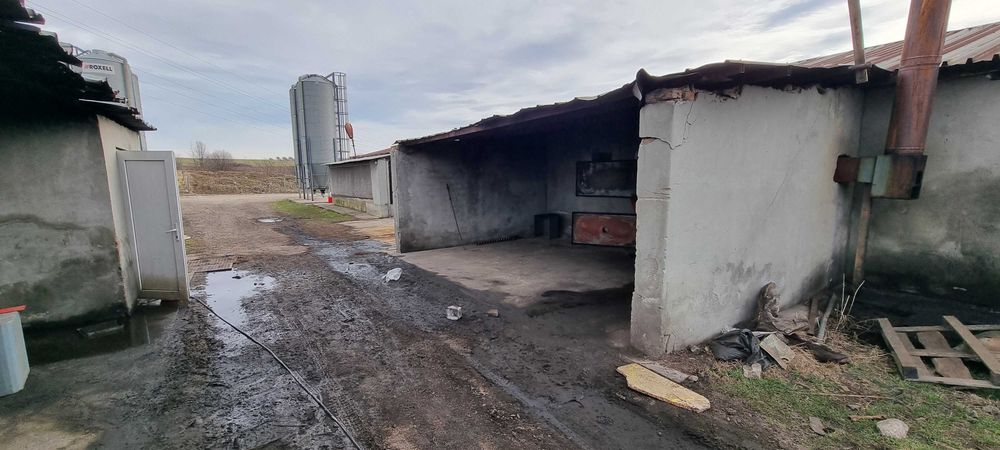 Продава се Промишлена сграда в с. Ушинци, Област Разград - 1620 кв.м за 189 €/кв.м - Снимка #7