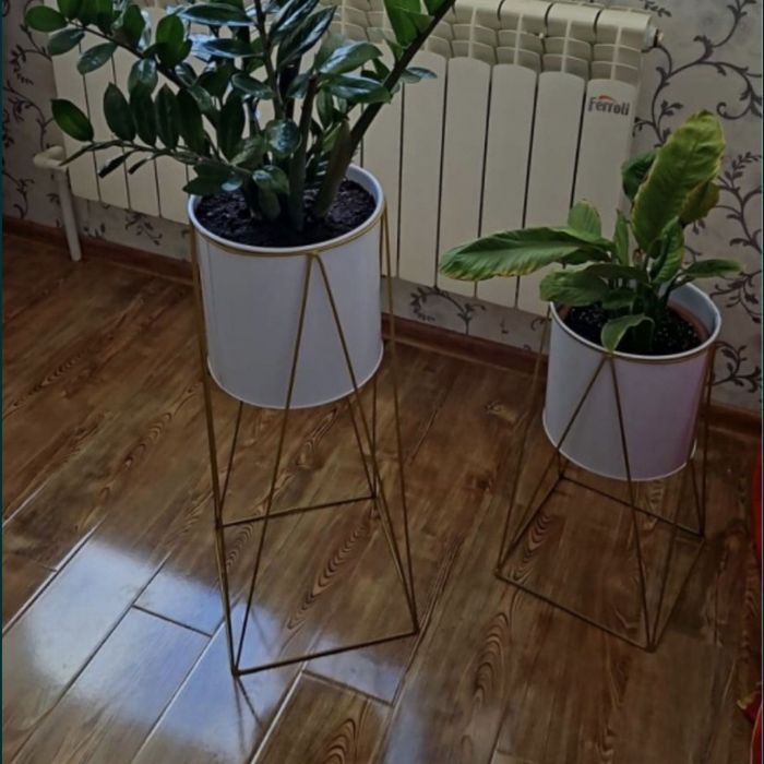 Продам.    цветы