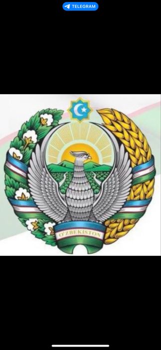 Профессиональный водитель на бизнес классе!