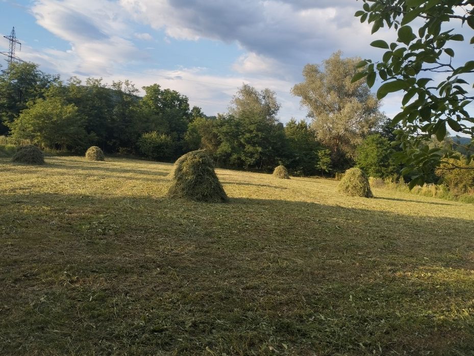 Se vinde fân, lucernă