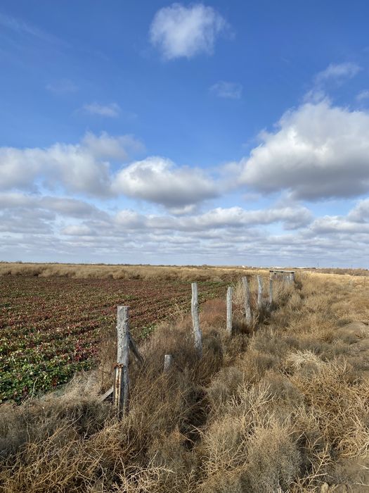 30га кх продаю 17 млн