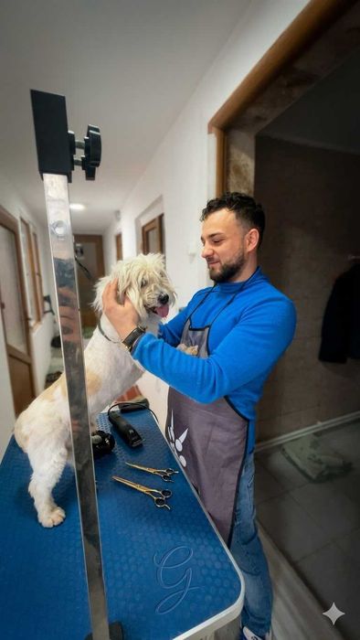 Tuns Grooming Braila /Domiciliu
